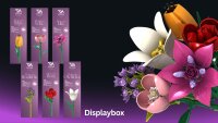 Flowerbox Einzelblumen H&auml;ndlerdisplay