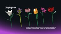 Flowerbox Einzelblumen H&auml;ndlerdisplay