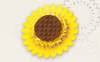 Sonnenblumen