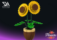 Sonnenblume