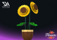 Sonnenblume