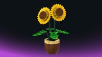 Sonnenblume
