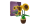 Sonnenblumen