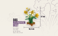 Narzissenbeet