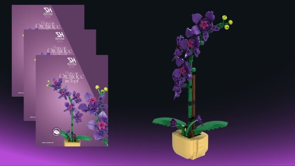 Orchidee im Topf