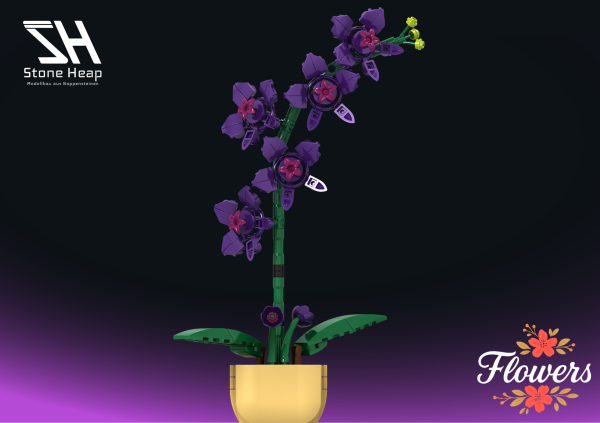 Orchidee im Topf