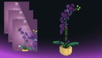 Orchidee im Topf