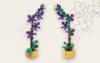 Orchidee im Topf