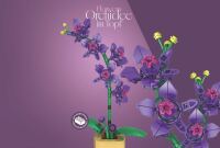 Orchidee im Topf