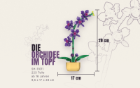 Orchidee im Topf