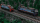 BR193 SBB Cargo International Vectron