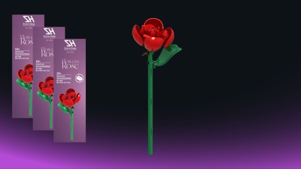 Einzelblume Rose