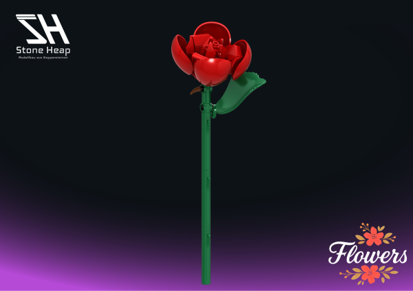 Einzelblume Rose