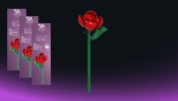 Einzelblume Rose