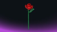 Einzelblume Rose