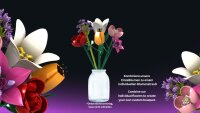 Einzelblume Rose