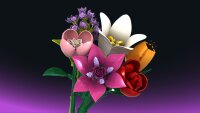 Einzelblume Rose