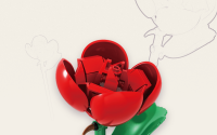 Einzelblume Rose
