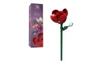 Einzelblume Rose