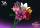 Einzelblume Rose
