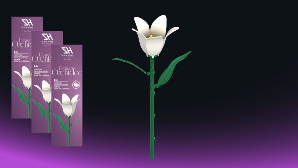 Einzelblume Orchideen