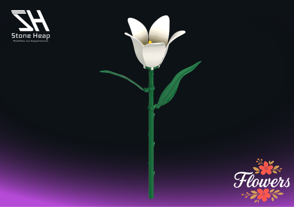 Einzelblume Orchideen
