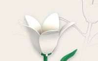 Einzelblume Orchidee