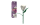 Einzelblume Orchidee