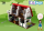 Kivis Farmhaus