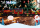 Der Weihnachtsexpress