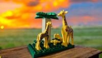 Littlechild - Giraffen